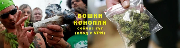 молекула духа Верхний Тагил