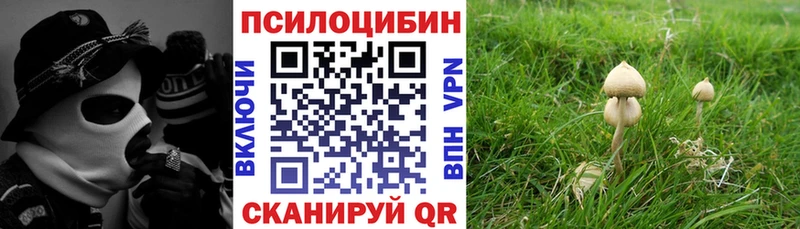 Галлюциногенные грибы MAGIC MUSHROOMS  хочу   Бердск 