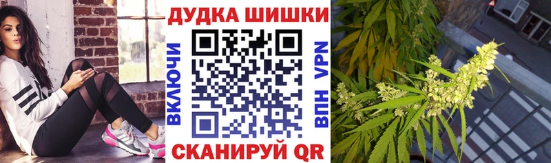 МАРИХУАНА сатива  МЕГА ссылки  Бердск 